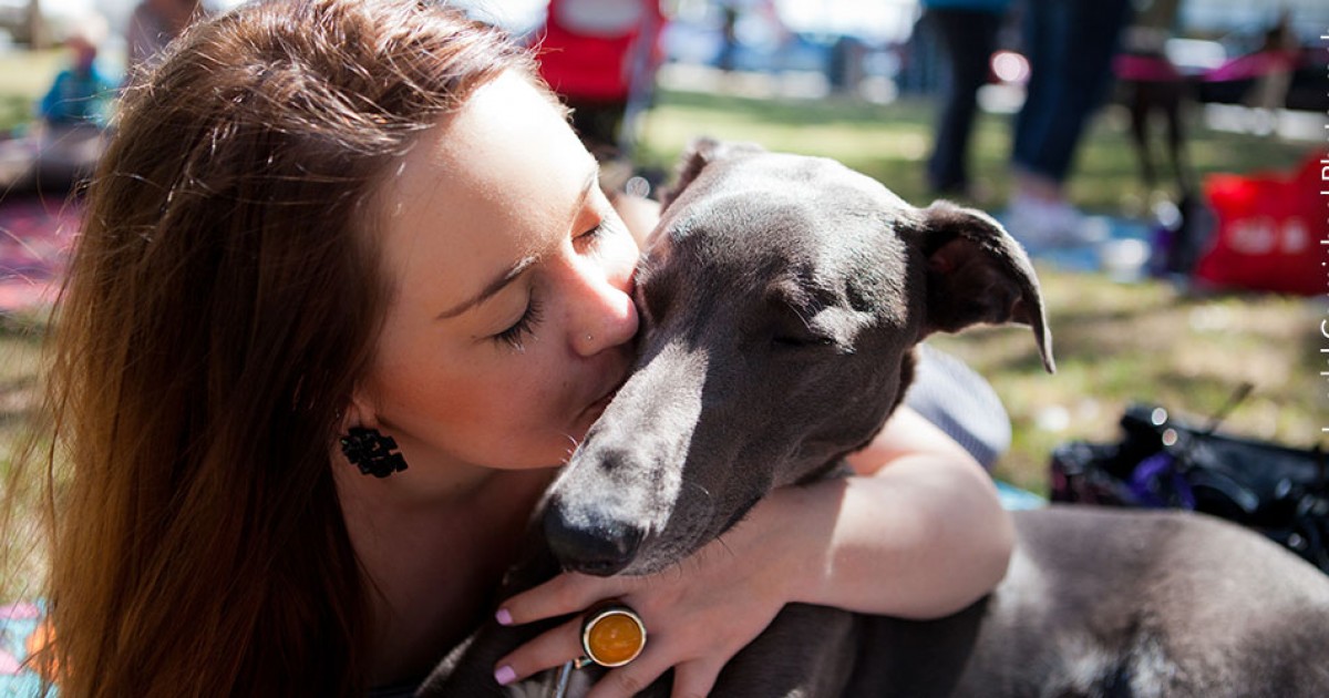 New owner kissing a black greyhound